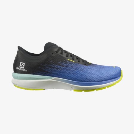 Salomon SONIC 4 Accelerate Erkek Koşu Ayakkabısı Mavi TR Z3C3